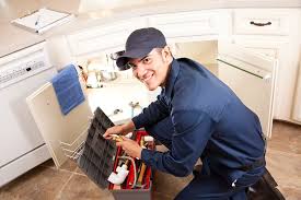 Professional Plumbung Services in Cordova, AL